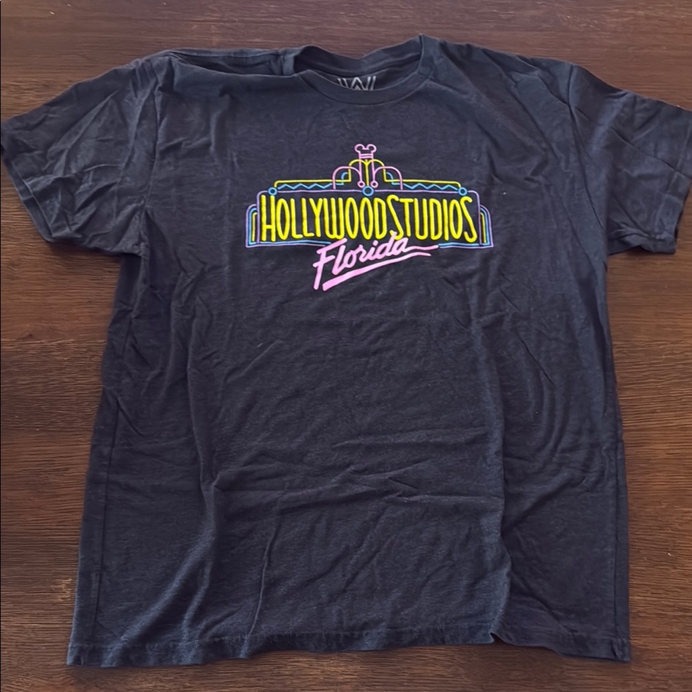 Hollywood Studios Florida Graphic Tee - Black